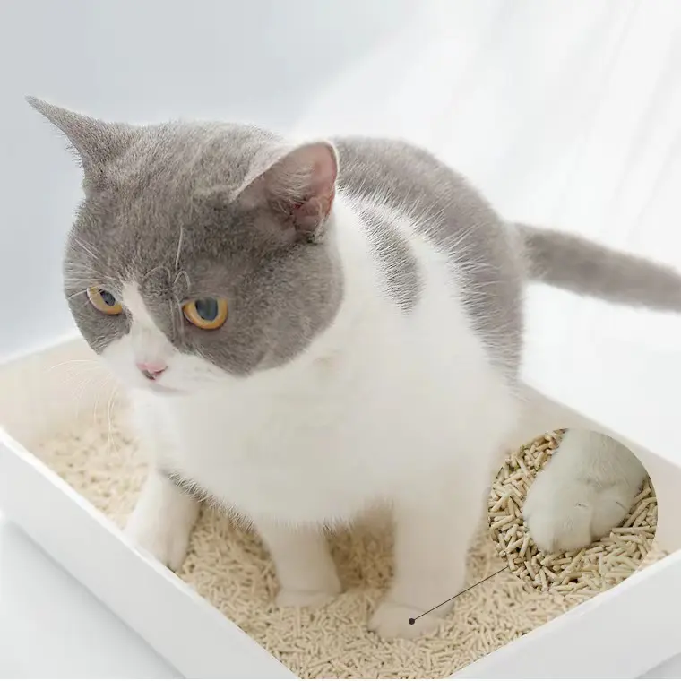 How to choose the appropriate cat litter for a cat