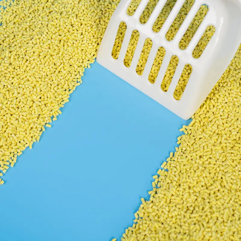 Corn cat litter for kittens with high absorption popular in North America
